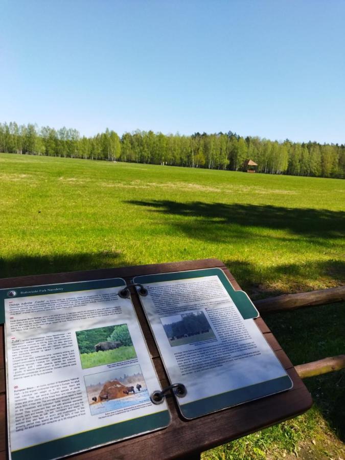 Przy Lesie Villa Bialowieza Bagian luar foto