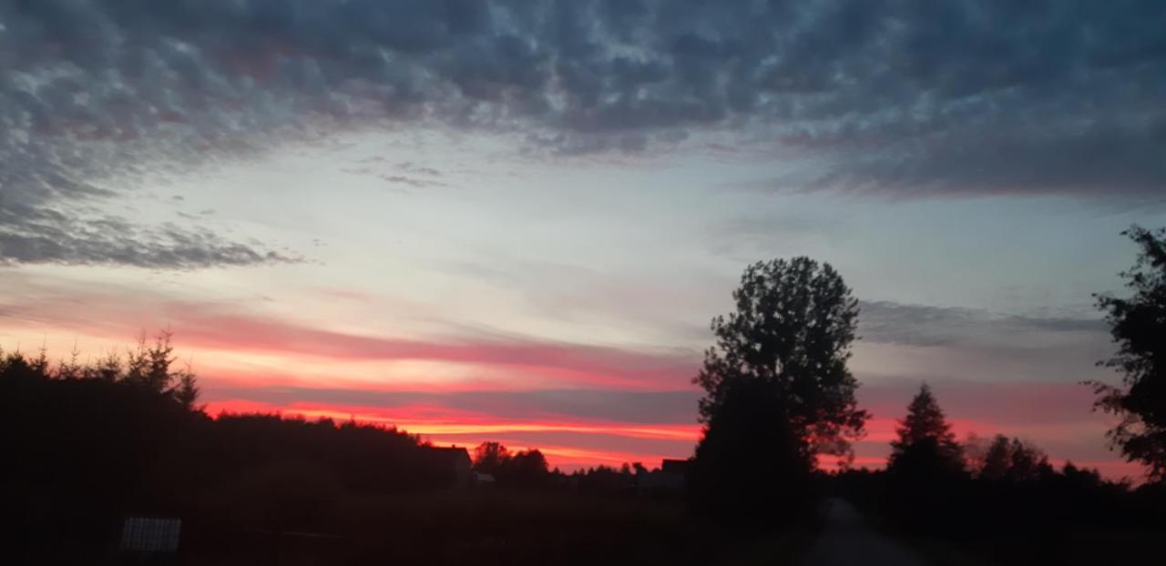 Przy Lesie Villa Bialowieza Bagian luar foto